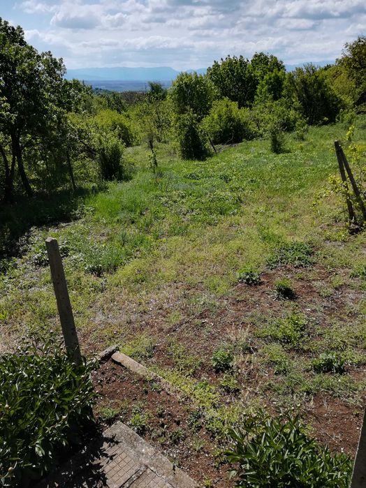 Продава се Парцел в Монтана, м-т Палековото - 1172 кв.м за 4 €/кв.м - Снимка #4