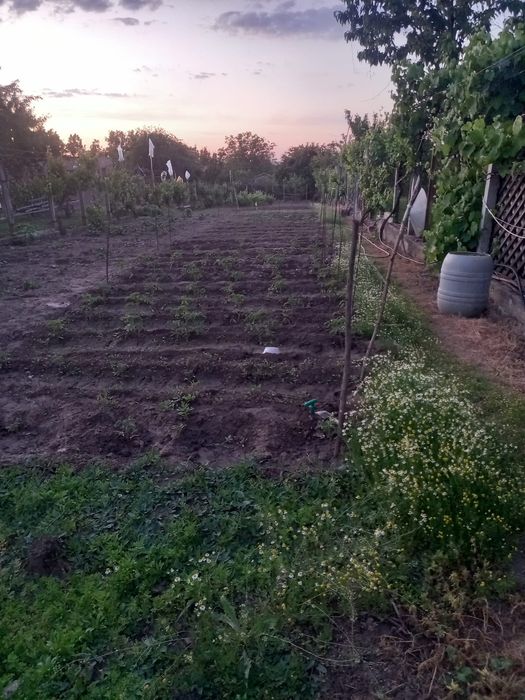 Vand casa  in Mineri