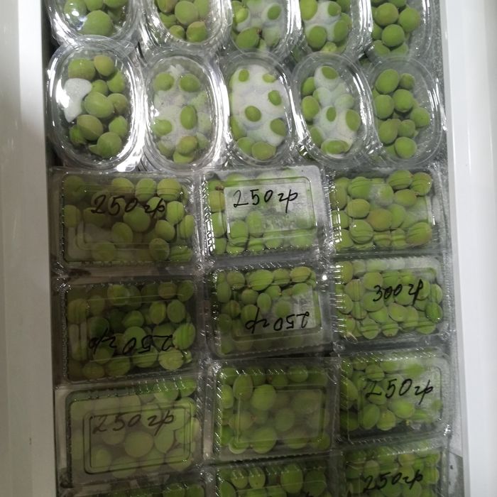 Dovcha va kok sulton va qulupney va guloz bor