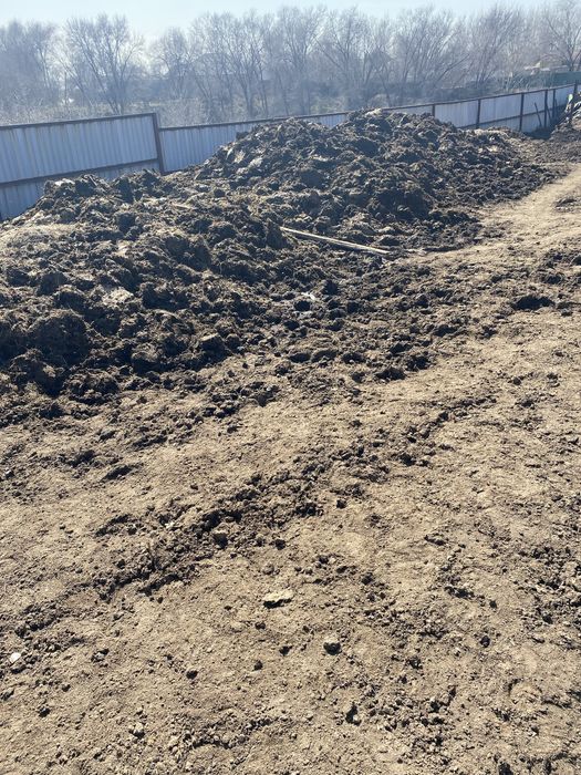 Навоз конский Бесплатно!!!