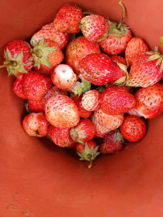 Продаю или меняю дачу на машину