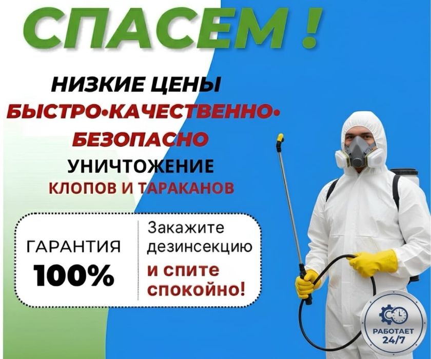 Дезинфекция от тараканов