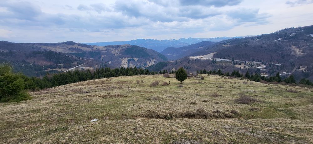 terenuri de vanzare, INDIVIDUAL SAU TOATE LA UN LOC, situate în Lupșa