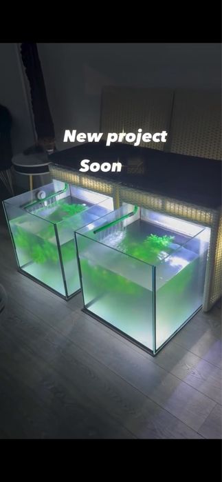 Acvarii pestisori pentru terapia Garra Ruffa