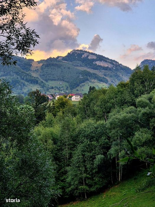 Teren investitie 8635 mp extravilan , Pestera Brasov