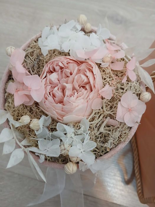 Oferta! Bujor criogenat roz pal