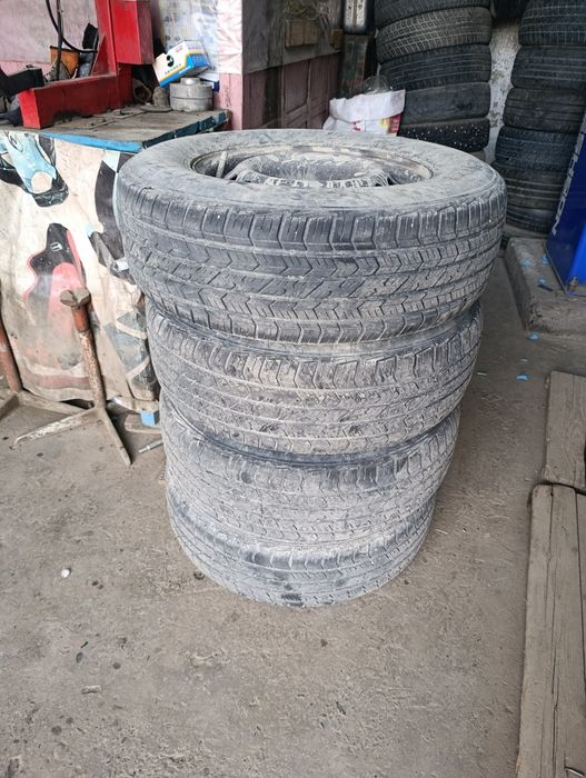 14 deska balon Cobalt