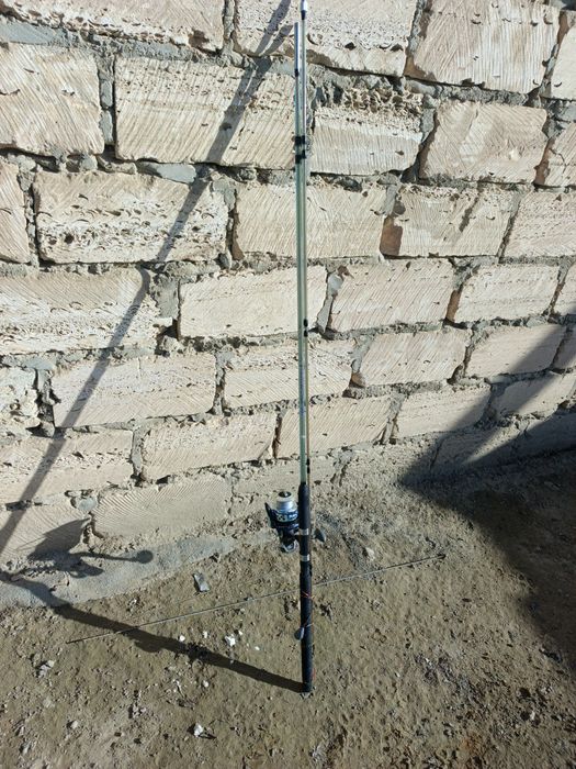 Дайын қалмақтар сатылады