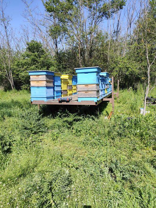 Пчеларска платформа