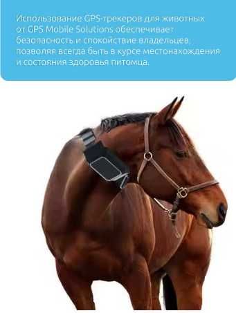 ЖПС трекер + датчик уровня топлива