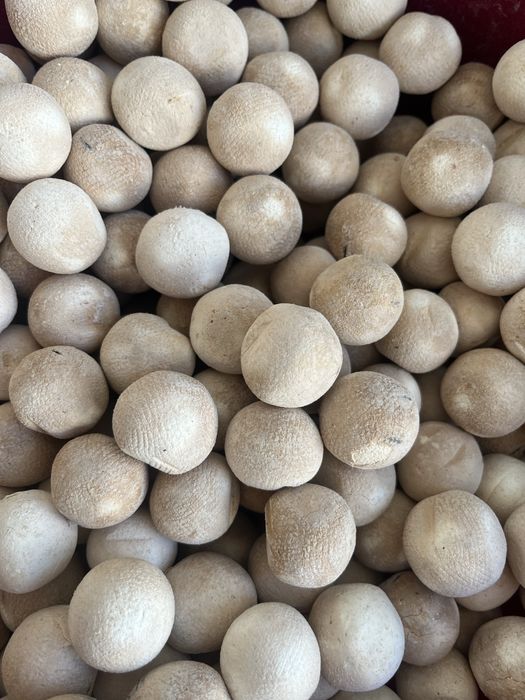 Курт Құрт Астана