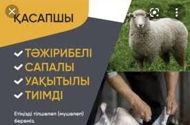 Қой,  ешкі сою қасапшы