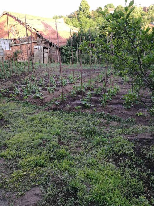 Продава се Къща в Самоков - 100 кв.м за 281 €/кв.м - Снимка #3