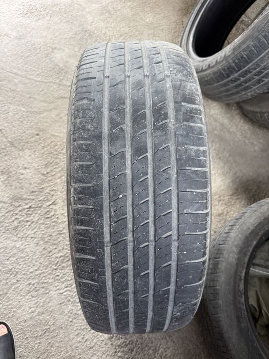roadstone шины летние