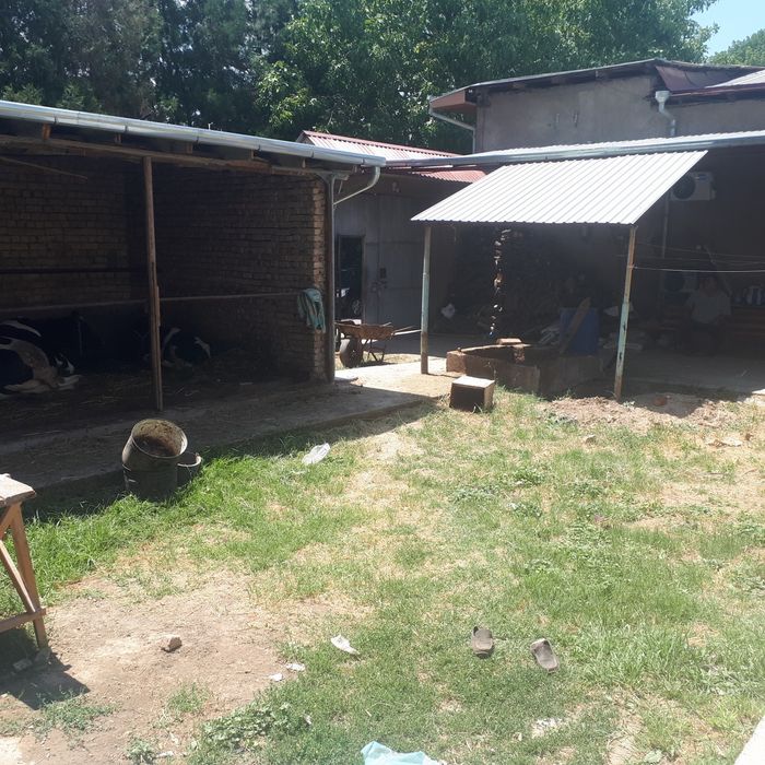 4 Сотих ховли сотилади.