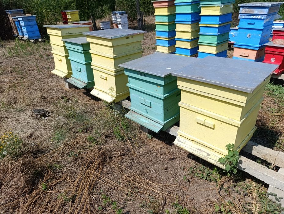 Пчелни кошери използвани