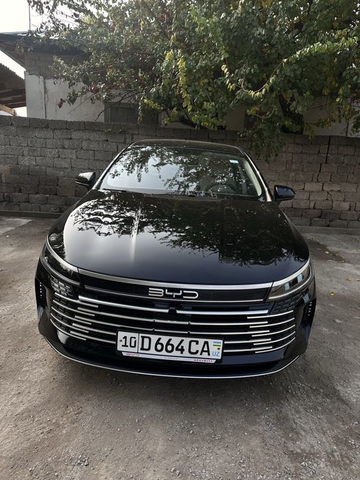 Byd Chazor (1позиция)