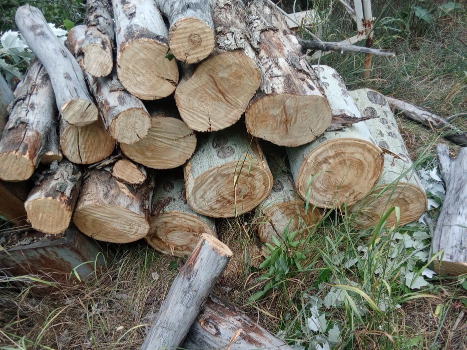 Камазбен сатамын