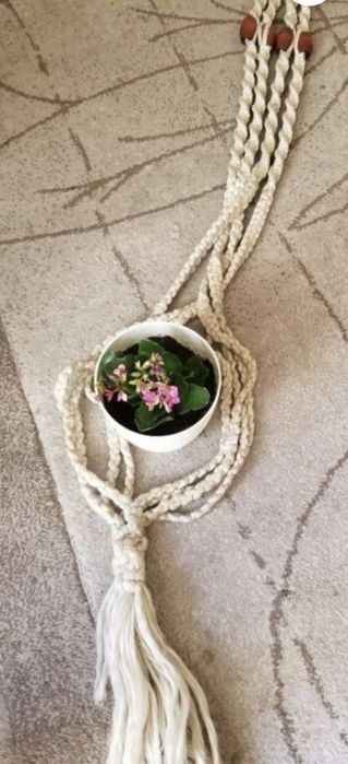 Цитрос преса ,чиния за пица,графа  с 4 чаши ,раница и декорация  за