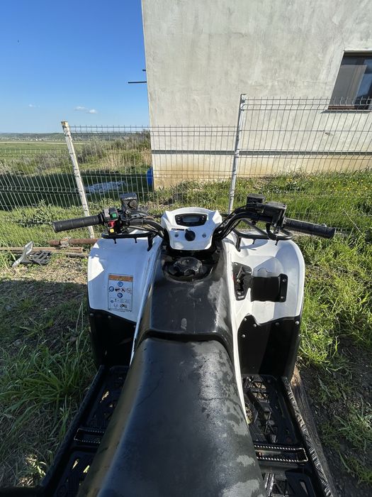 Vand kawasaki brute force