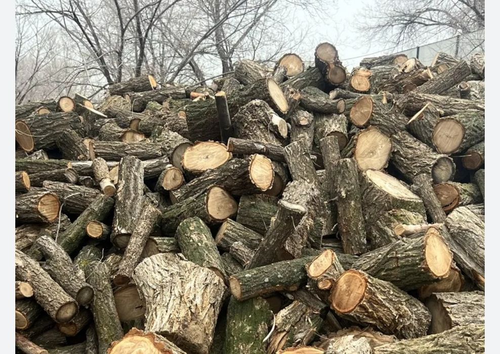 Карагач на дрова пиленный отдам