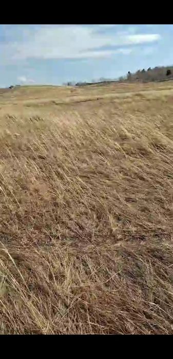 Участок 20 соток