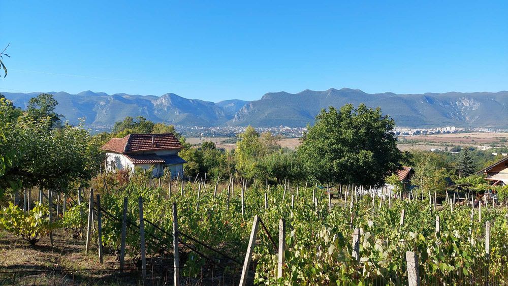 Продава се Къща в Враца, Студентски град - 30 кв.м за 442 €/кв.м - Снимка #9