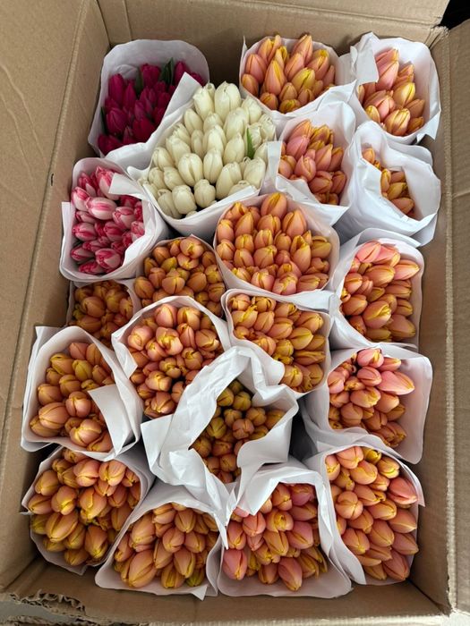 Продам Тюльаны ОПТ в Розницу