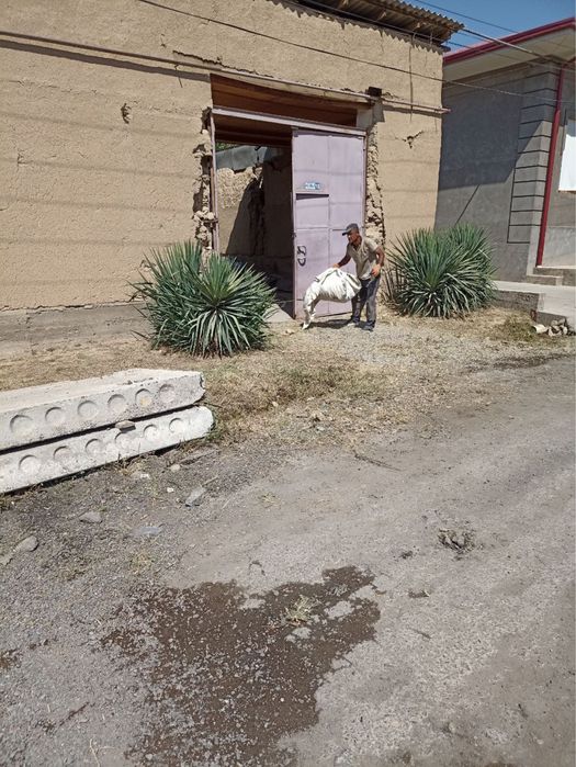 Yer sotiladi 8 sotix