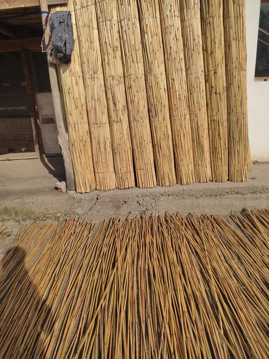 Оптим камиш сотилади