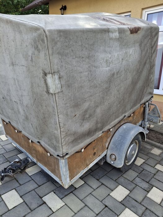 Remorca auto import austria