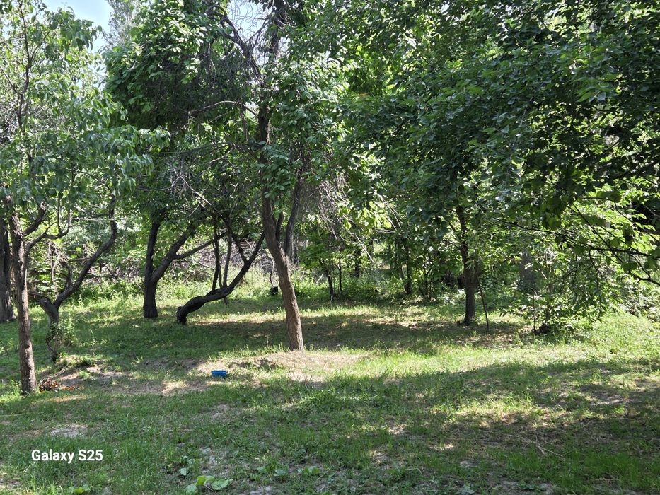 Ер сотилади гулбоғ да