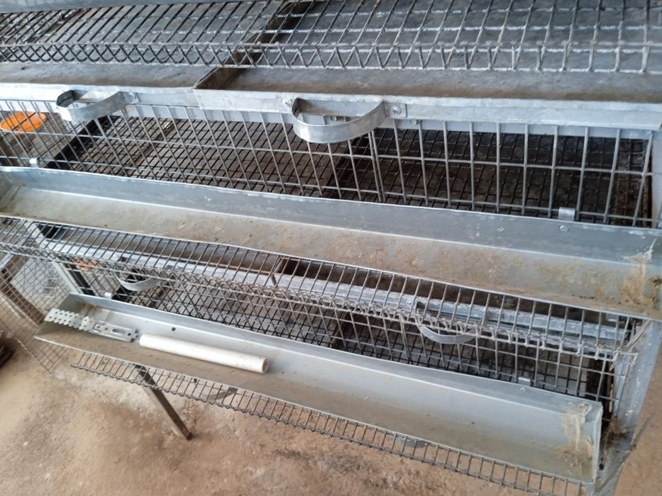 Bedana qafas. Temirdan yasalgan.