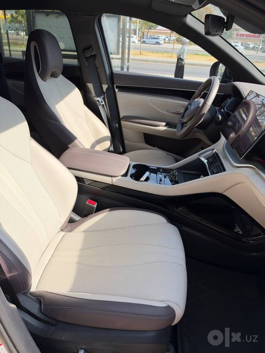 Byd chempion 605