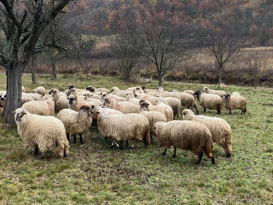 Vind oi informati.la numerele de telefon