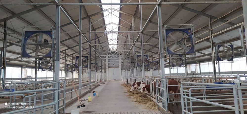 Готовый бизнес! Джиззах ,ферма ,собственник ,со всеми удобствами