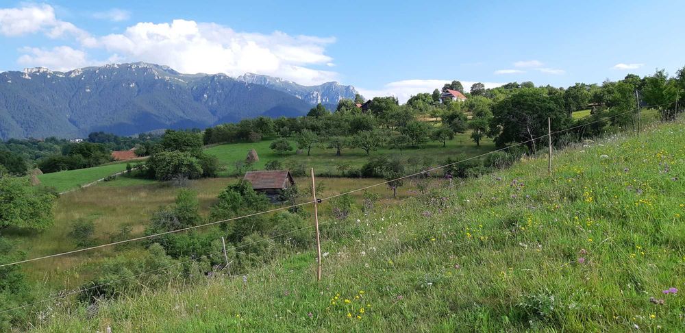 Teren intravilan BRAN-Bradul Inalt-Priveliste panoramica