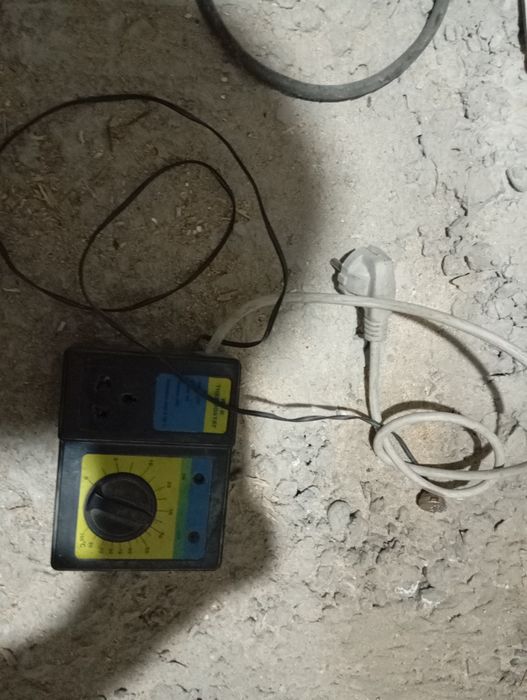 Температурыный разведении ель