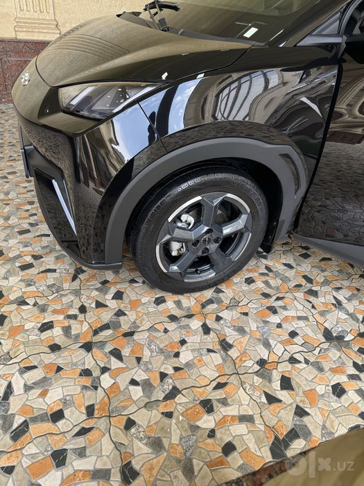 Byd seagull 2024