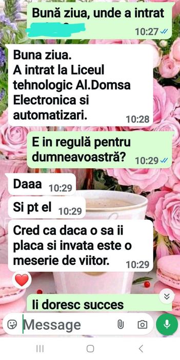 Profesor (PFA) ofer meditații pentru limba română și limba engleză