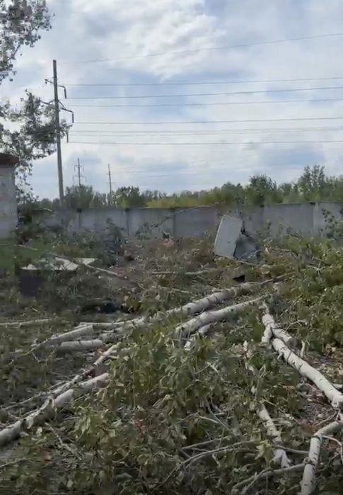 Дрова бесплатно самовывоз