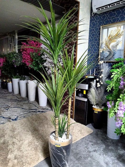 Суний гуллар ва дарахтлар олами сизнинг уйингиз ва офисингиз учун