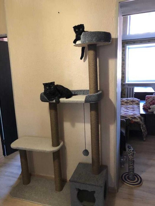 Когтеточки для кошек