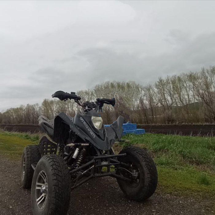 Квадроцикл 250 кубов