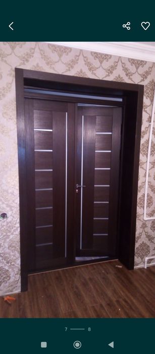 Установка всех типов дверей в том числе и маятниковые