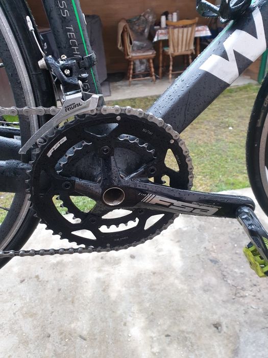 Cursiera carbon.