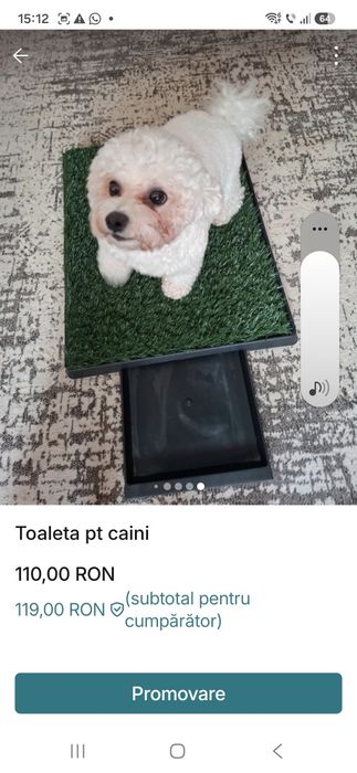 Vand toaleta interioara pt caini