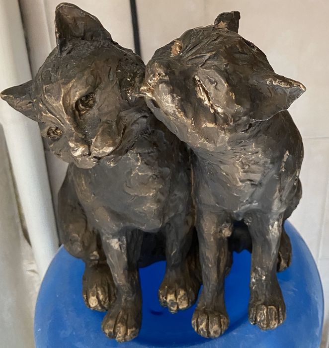 Продам инсталляцию пары кошек