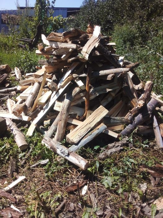 Дрова в мешках сухие