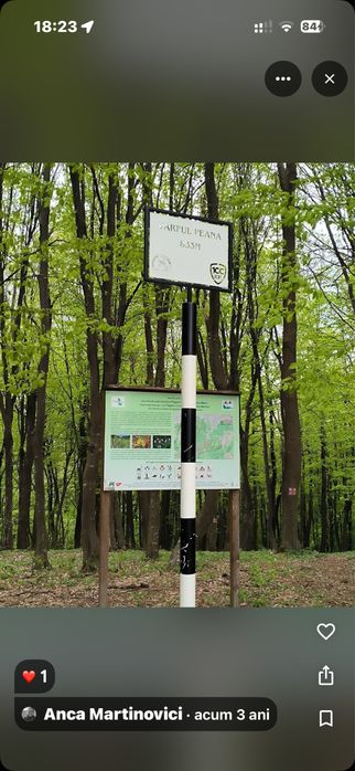 INVESTIȚIE STRATEGICĂ: 4 Hectare Compacte – Sălicea (Zona Vârful Peana), Comuna Ciurila 30€/mp